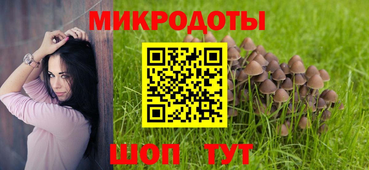 Псилоцибиновые грибы ЛСД Алейск