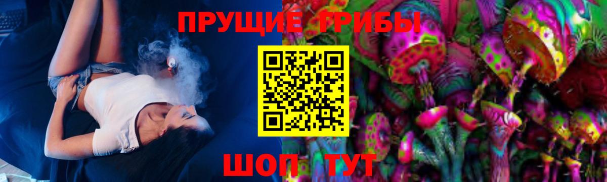 Галлюциногенные грибы Psilocybine cubensis  Вход с VPN  Алейск 